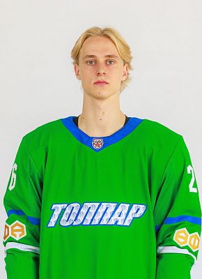 Михаил Дегтярёв