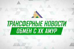 «Салават Юлаев» и «Амур» совершили обмен