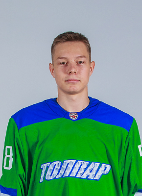 Дмитрий Плотников