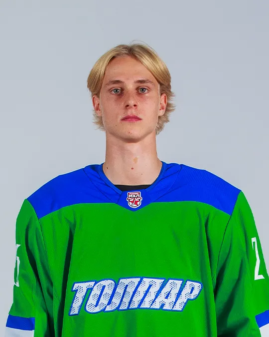 Михаил Дегтярёв