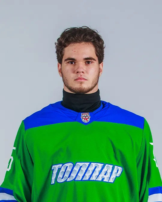 Михаил Шебякин