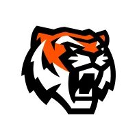 Амурские Тигры